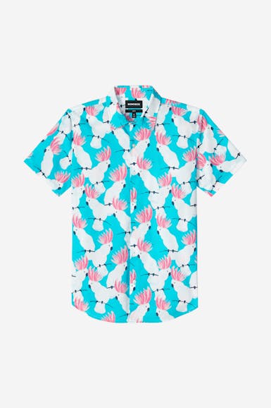 Men S Shirts Bonobos