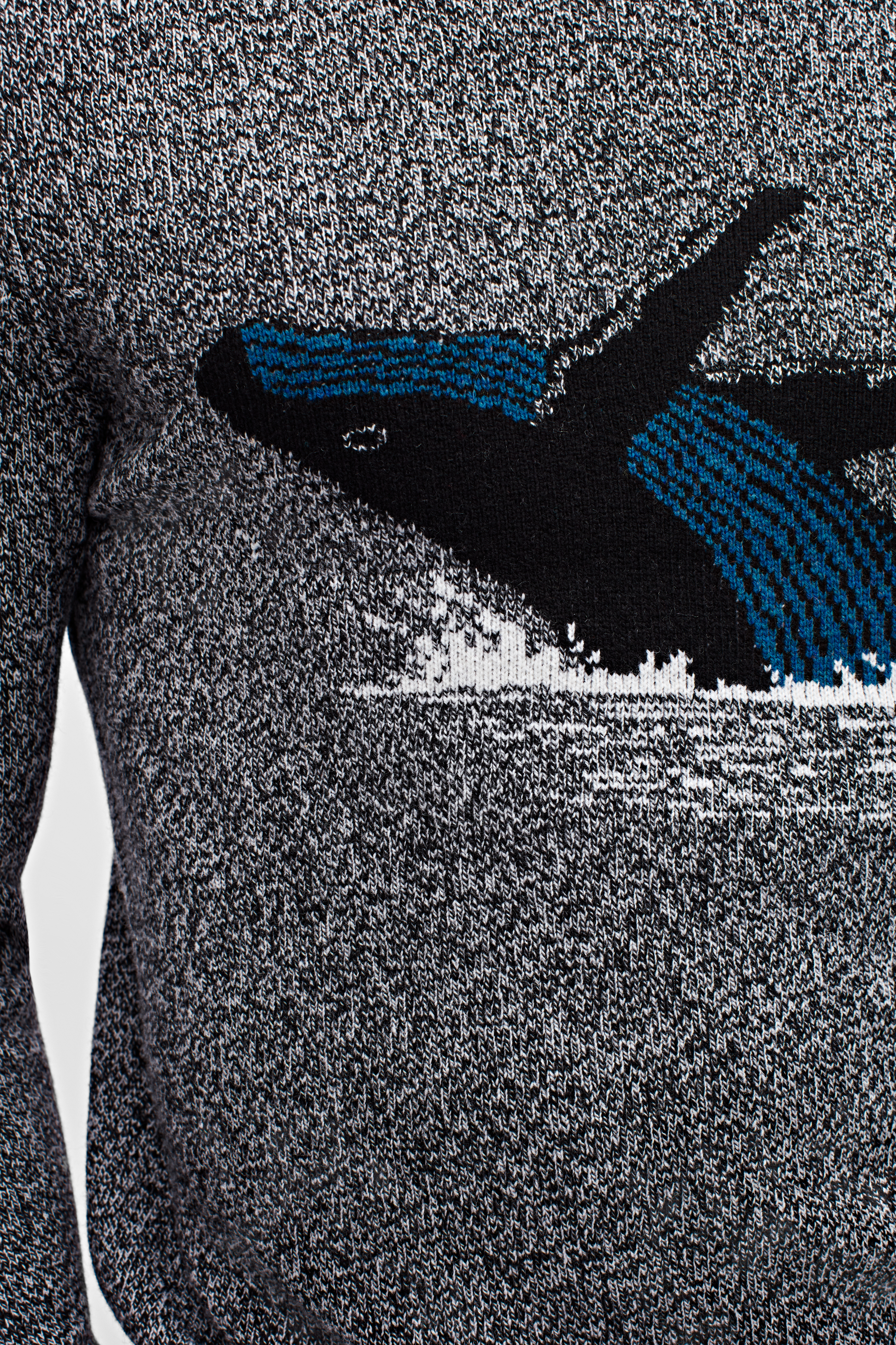 Whale Crew Neck Sweater