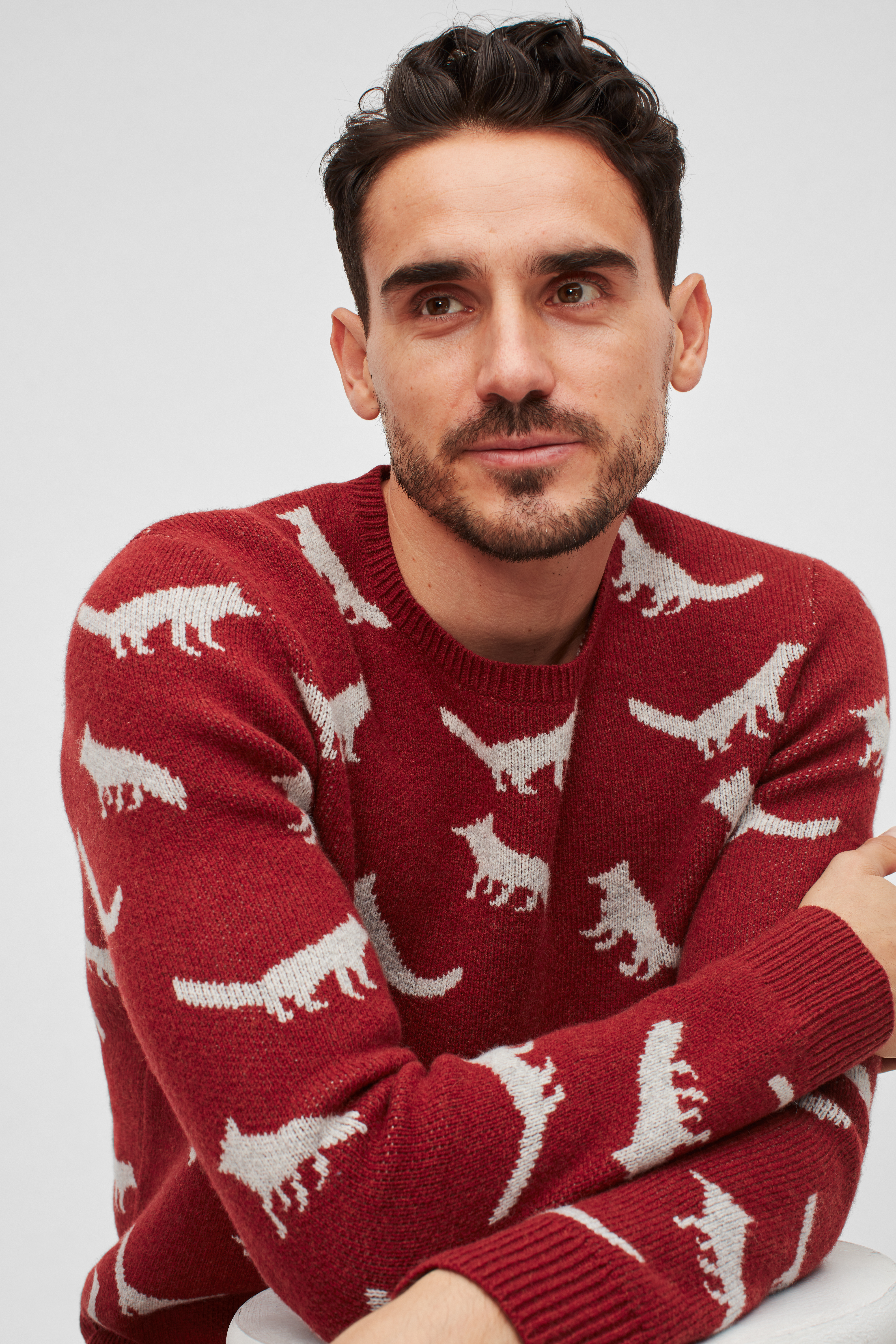 Fox Crew Neck Sweater