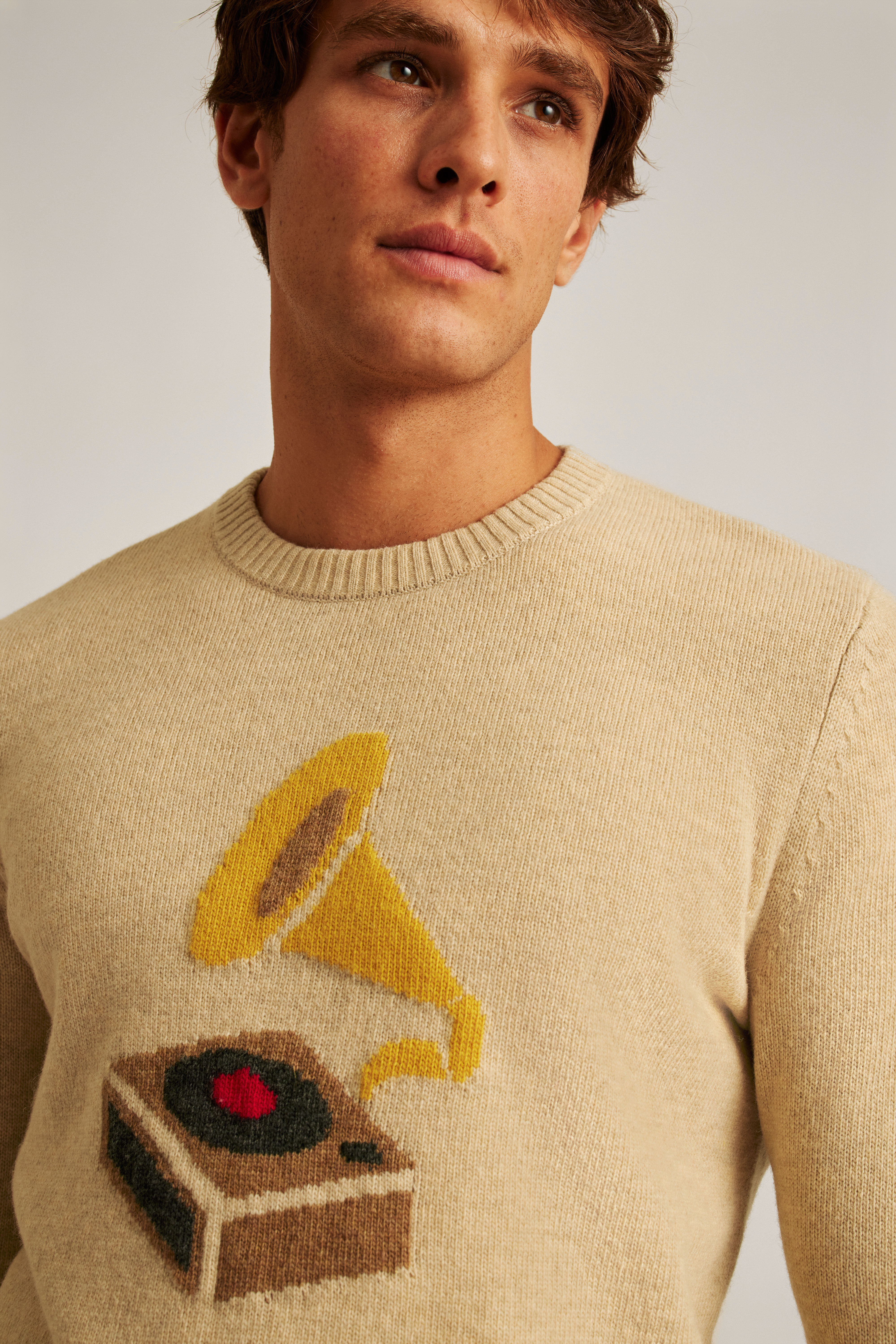 Gramophone Crew Neck Sweater